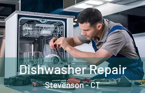 Dishwasher Repair Stevenson - CT