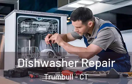  Dishwasher Repair Trumbull - CT