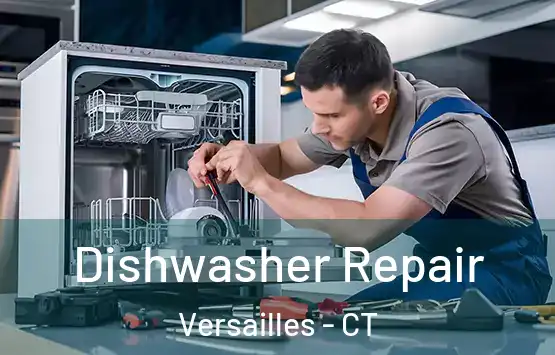  Dishwasher Repair Versailles - CT