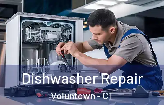  Dishwasher Repair Voluntown - CT