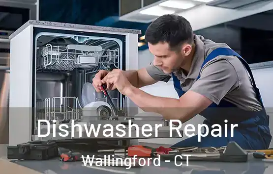  Dishwasher Repair Wallingford - CT