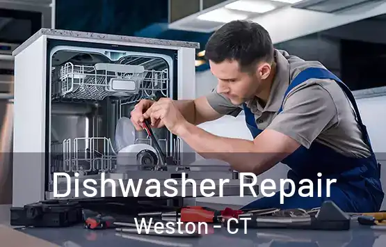  Dishwasher Repair Weston - CT