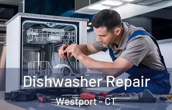  Dishwasher Repair Westport - CT