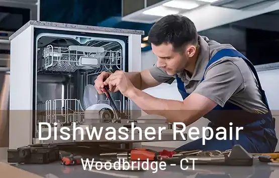  Dishwasher Repair Woodbridge - CT