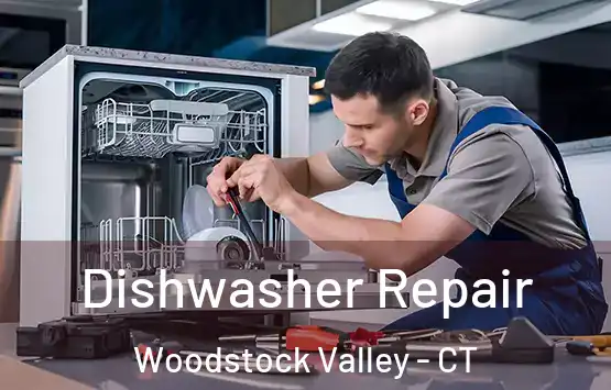  Dishwasher Repair Woodstock Valley - CT