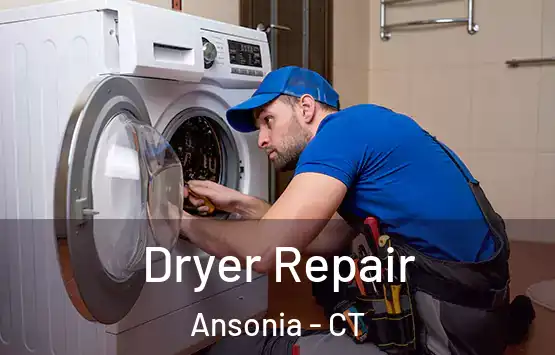  Dryer Repair Ansonia - CT
