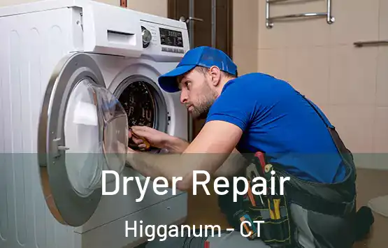  Dryer Repair Higganum - CT