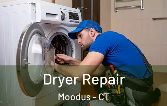  Dryer Repair Moodus - CT