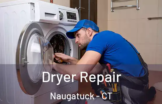  Dryer Repair Naugatuck - CT