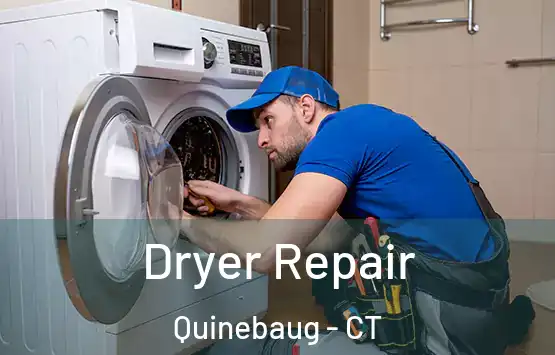  Dryer Repair Quinebaug - CT