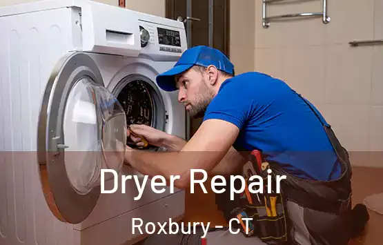  Dryer Repair Roxbury - CT