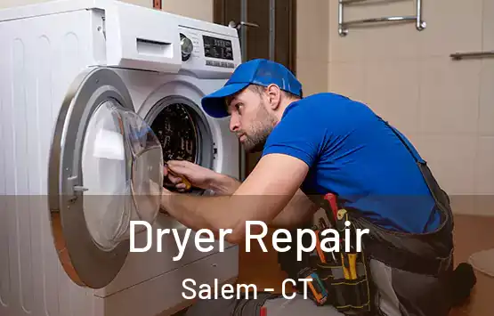  Dryer Repair Salem - CT