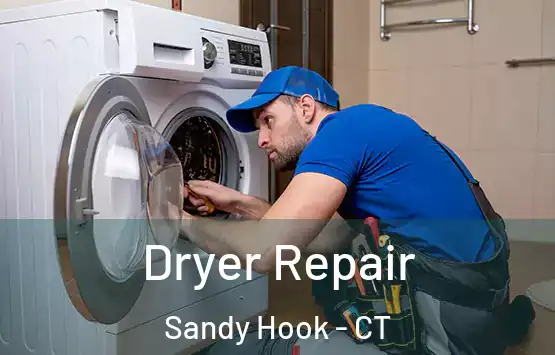  Dryer Repair Sandy Hook - CT