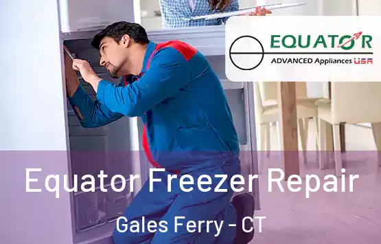  Equator Freezer Repair Gales Ferry - CT