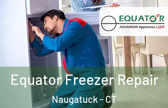  Equator Freezer Repair Naugatuck - CT