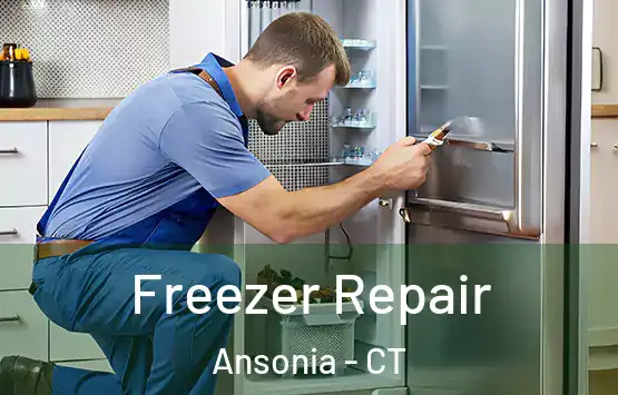  Freezer Repair Ansonia - CT