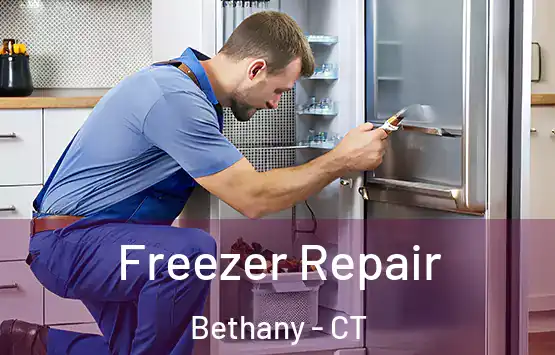  Freezer Repair Bethany - CT