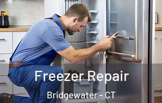  Freezer Repair Bridgewater - CT