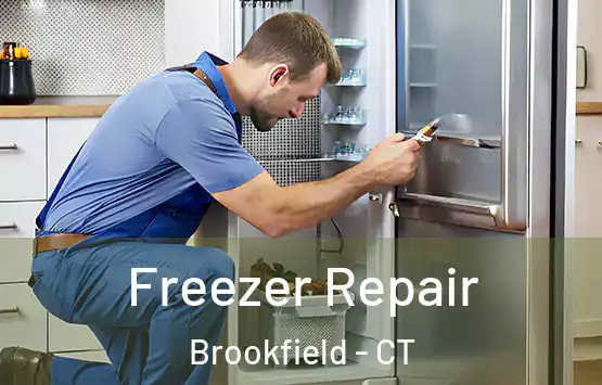  Freezer Repair Brookfield - CT