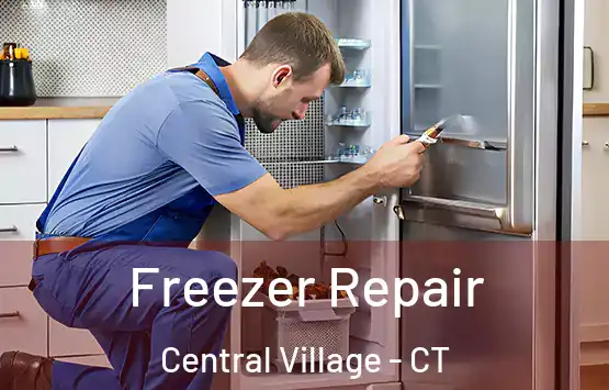  Freezer Repair Central Village - CT