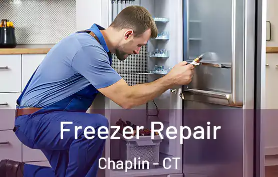  Freezer Repair Chaplin - CT
