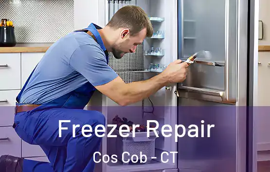  Freezer Repair Cos Cob - CT