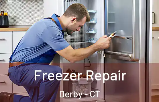  Freezer Repair Derby - CT