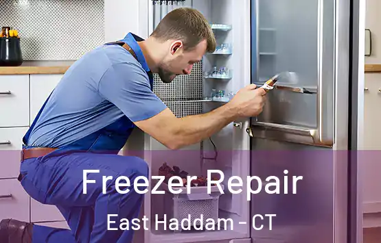  Freezer Repair East Haddam - CT