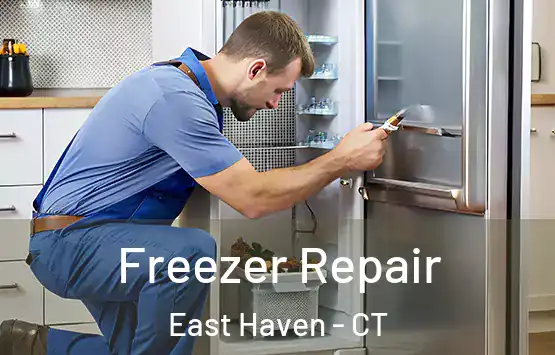  Freezer Repair East Haven - CT