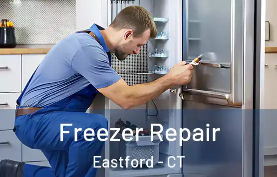  Freezer Repair Eastford - CT
