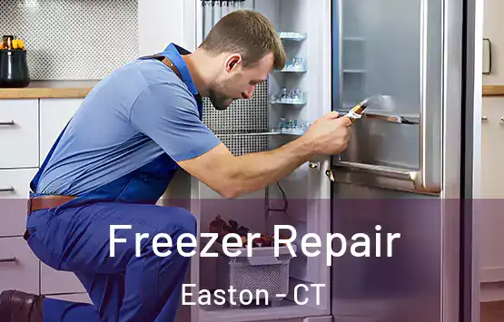  Freezer Repair Easton - CT