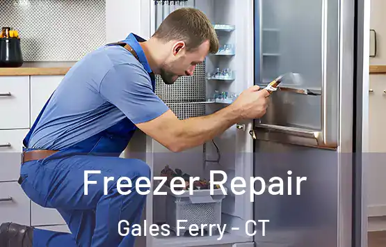  Freezer Repair Gales Ferry - CT