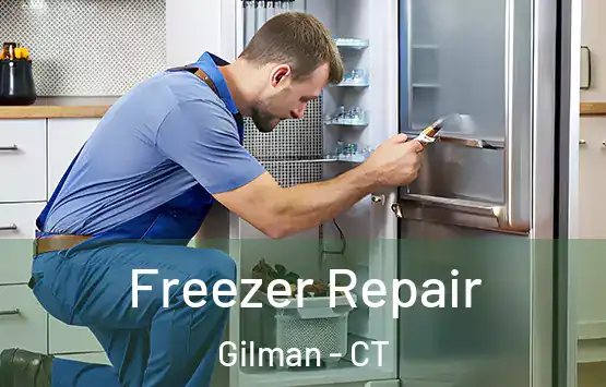  Freezer Repair Gilman - CT