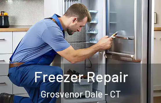  Freezer Repair Grosvenor Dale - CT
