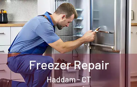  Freezer Repair Haddam - CT