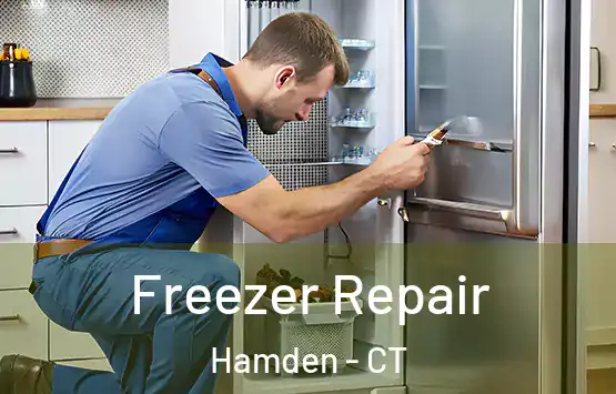  Freezer Repair Hamden - CT