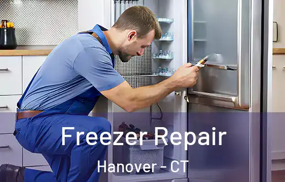  Freezer Repair Hanover - CT