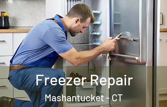  Freezer Repair Mashantucket - CT