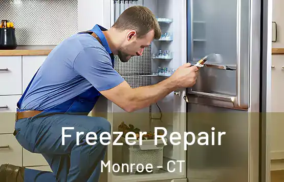  Freezer Repair Monroe - CT