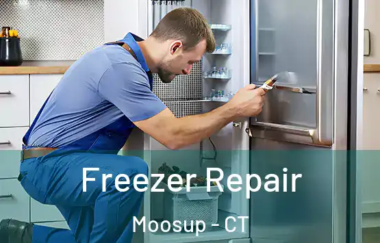  Freezer Repair Moosup - CT