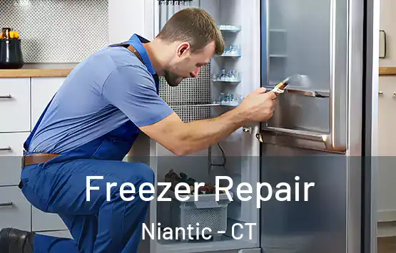  Freezer Repair Niantic - CT