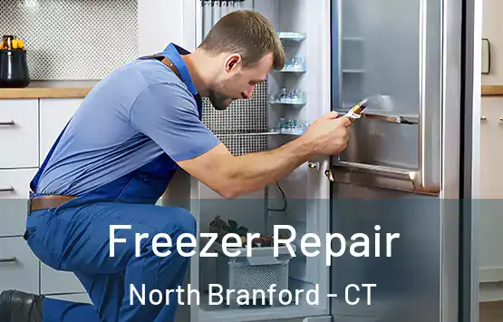  Freezer Repair North Branford - CT