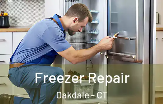  Freezer Repair Oakdale - CT