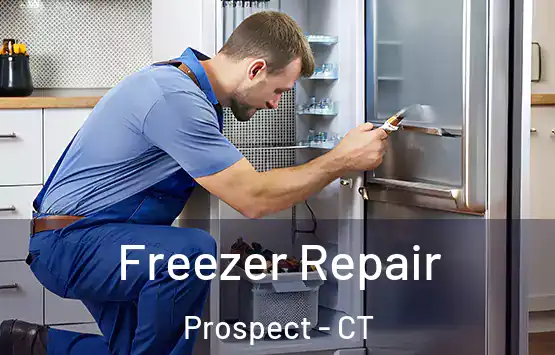  Freezer Repair Prospect - CT