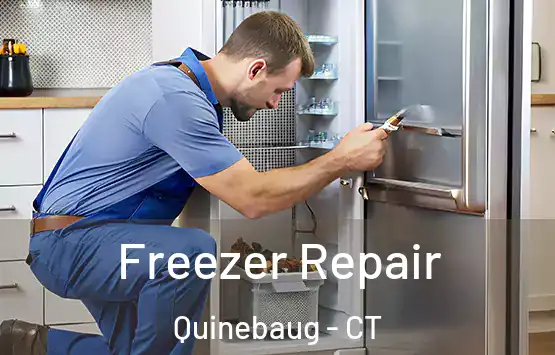  Freezer Repair Quinebaug - CT
