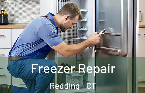  Freezer Repair Redding - CT
