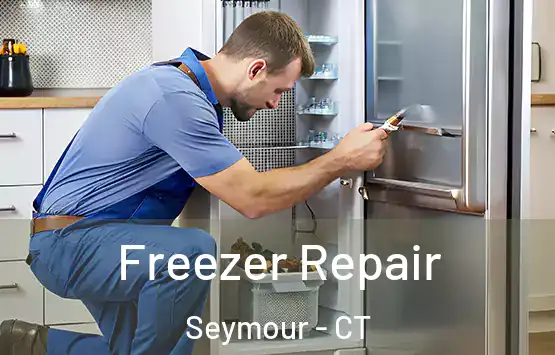  Freezer Repair Seymour - CT