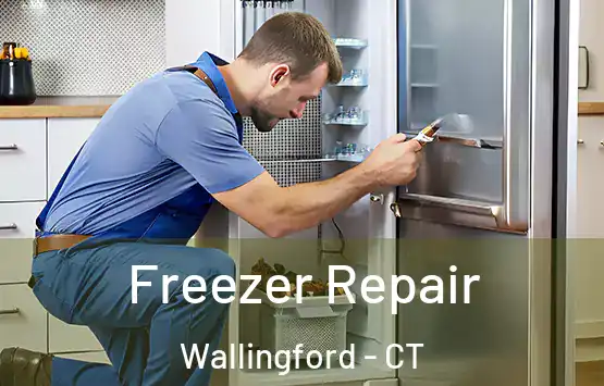  Freezer Repair Wallingford - CT