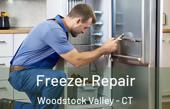  Freezer Repair Woodstock Valley - CT