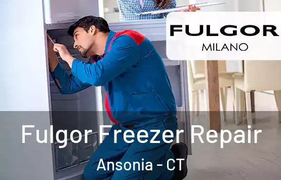  Fulgor Freezer Repair Ansonia - CT